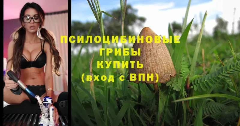 Галлюциногенные грибы MAGIC MUSHROOMS  купить   Балей 